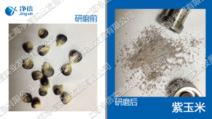 植物组织研磨仪研磨玉米种子的试验方法