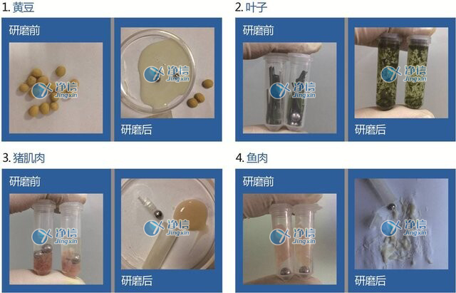 样品前处理研磨对比图