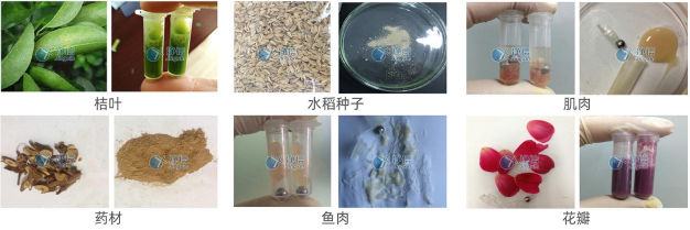 高速组织研磨仪样品研磨效果图.png