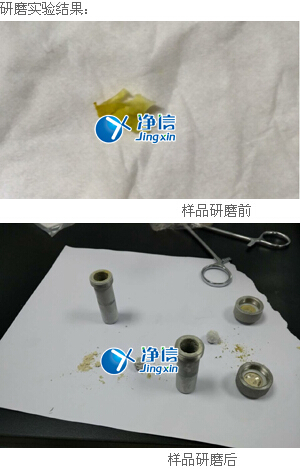 小鼠关节实验